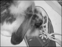 Althoug grayscaled she is still on action