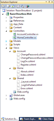 Razor project files