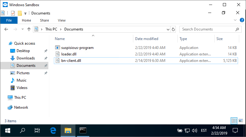 Suspicious program in Windows Sandbox